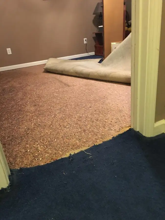 Carpet pad removal revealing water damage during Water Mitigation Services in Orem
